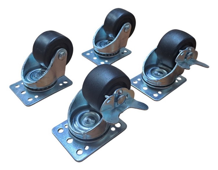 Castors_750.jpg